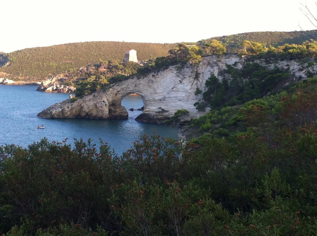 Camping Village Baia Falcone Vieste Eksteriør bilde